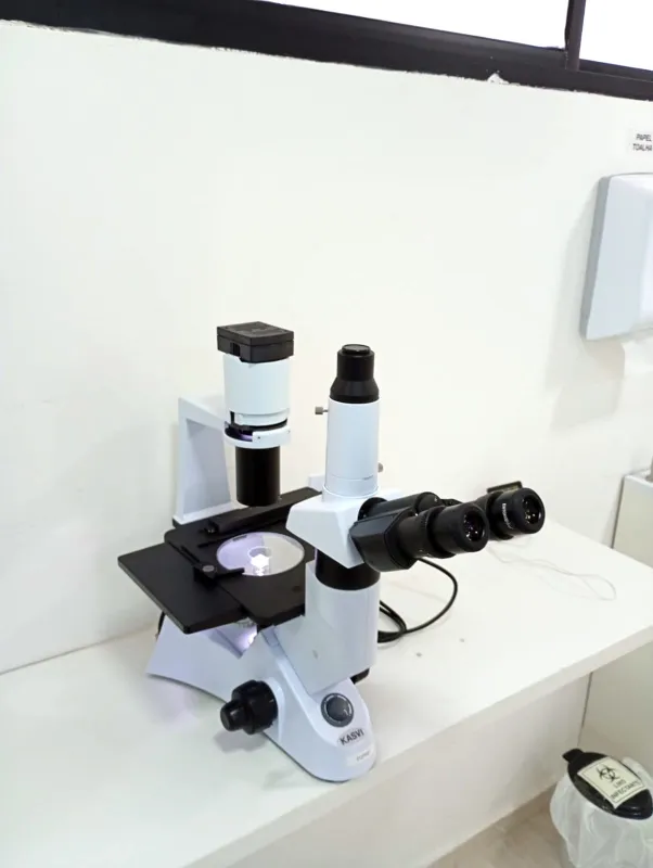 Análise microbiológica